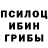 Галлюциногенные грибы Psilocybine cubensis Jonhobbs64