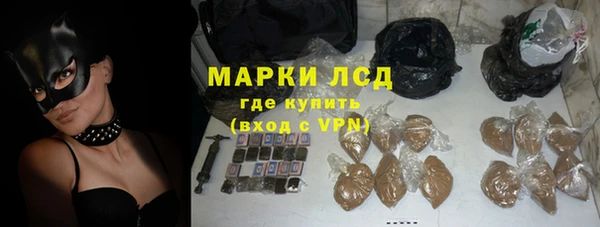 PSILOCYBIN Бородино