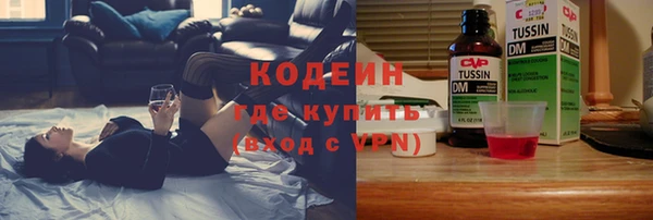 сатива Верея