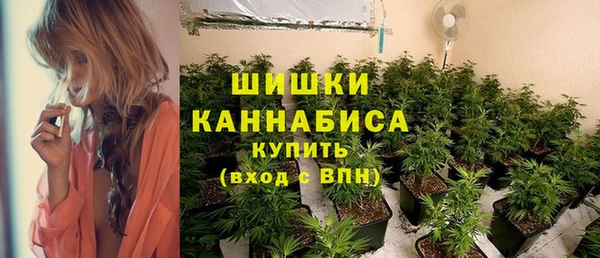 спиды Волосово