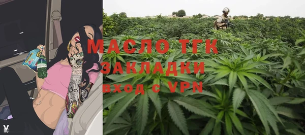 PSILOCYBIN Бородино